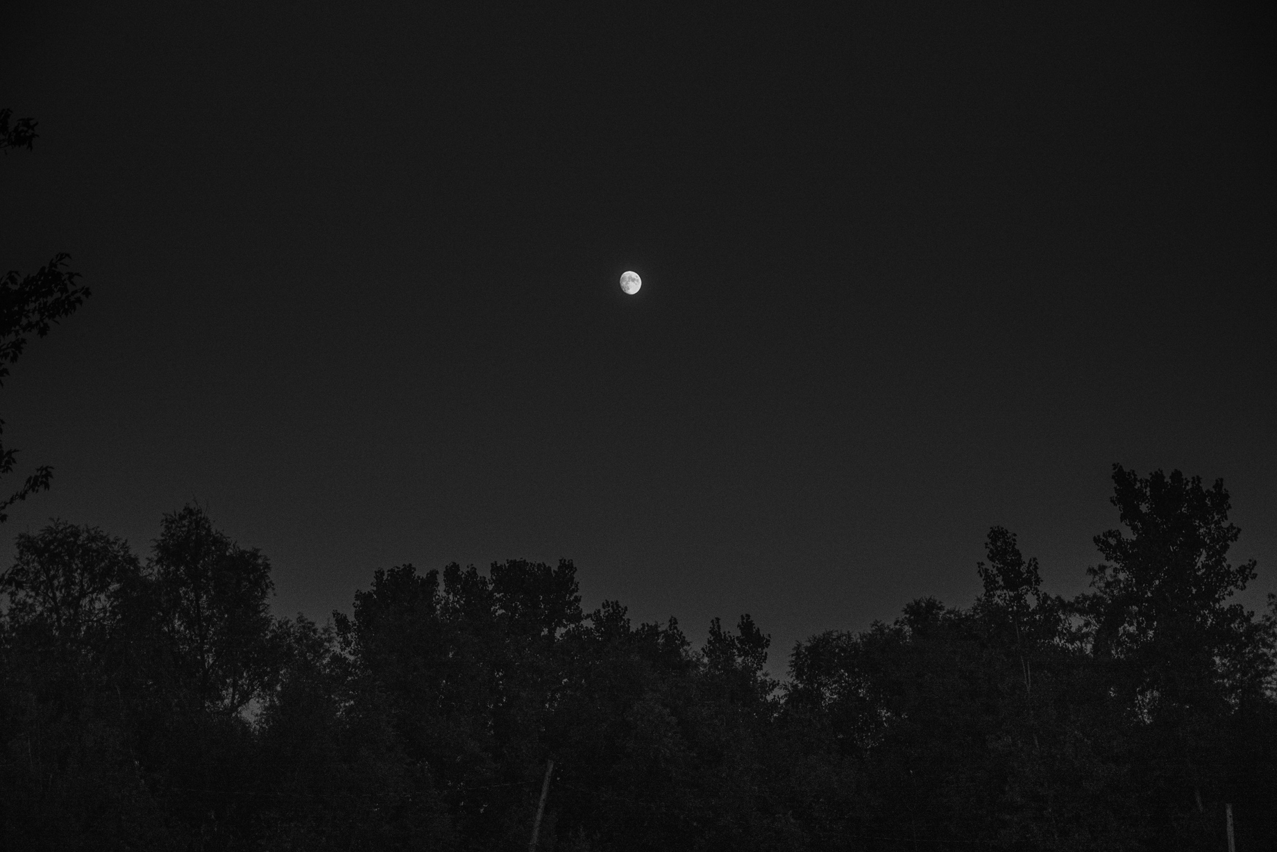 Moon_1510089