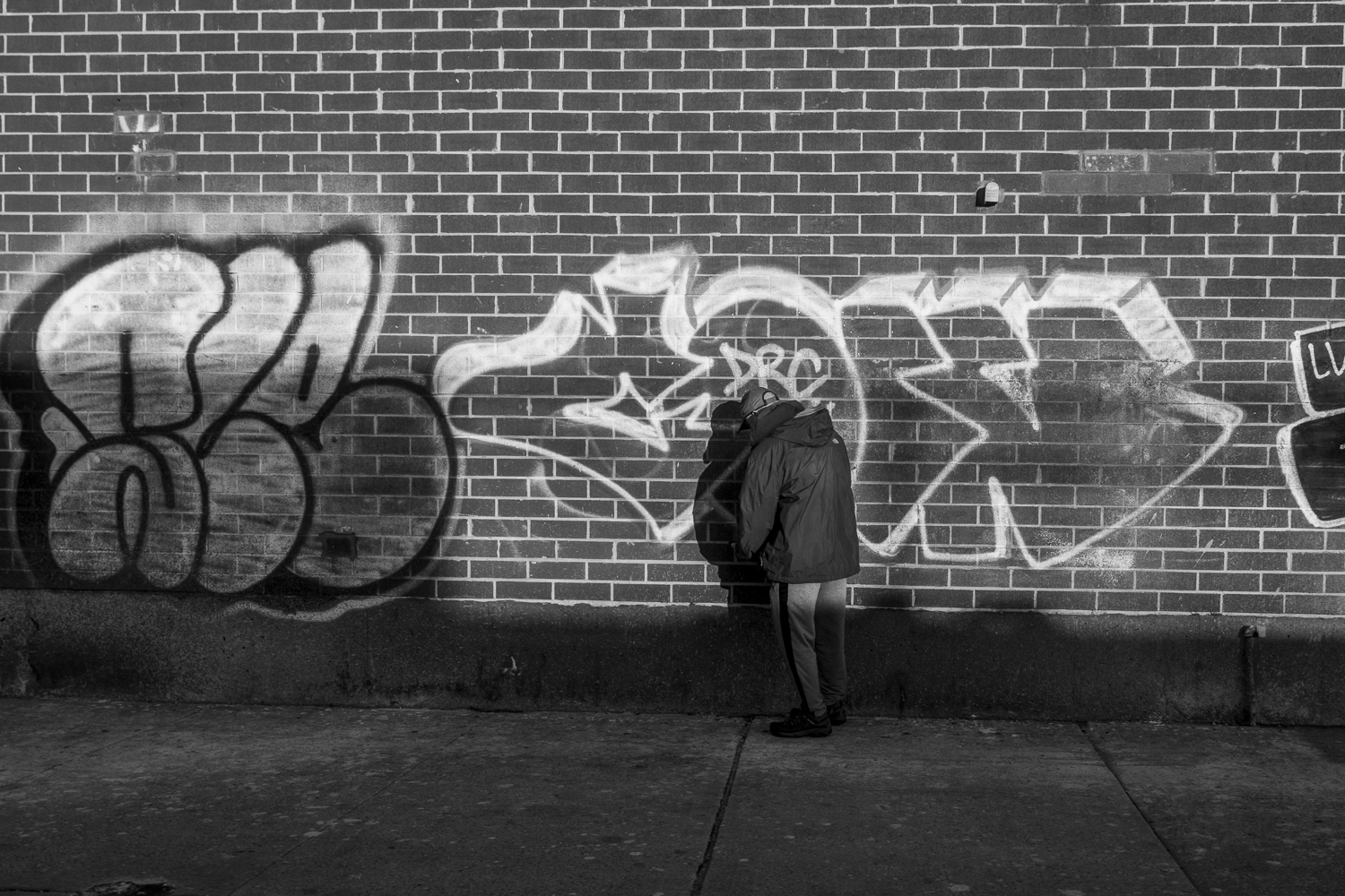 _1370062.JPG